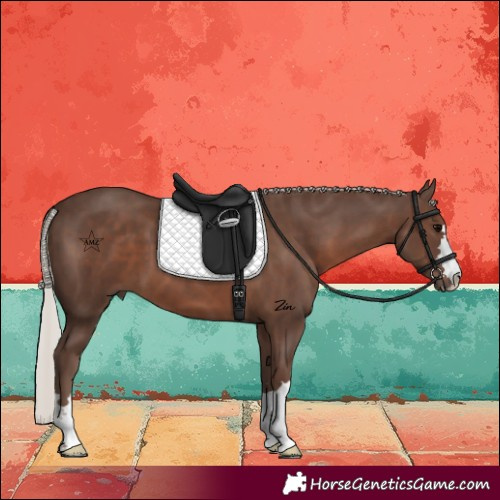 Horse Color:Silver Black 