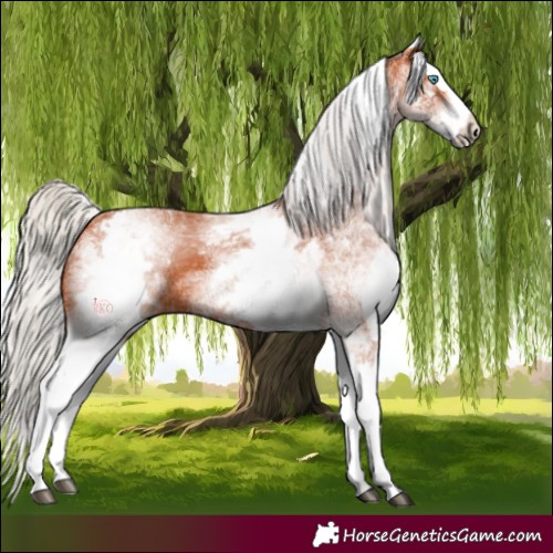 Horse Color:White Spotted Silver Bay Splash 