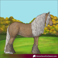 Horse Color:Silver Smoky Black 