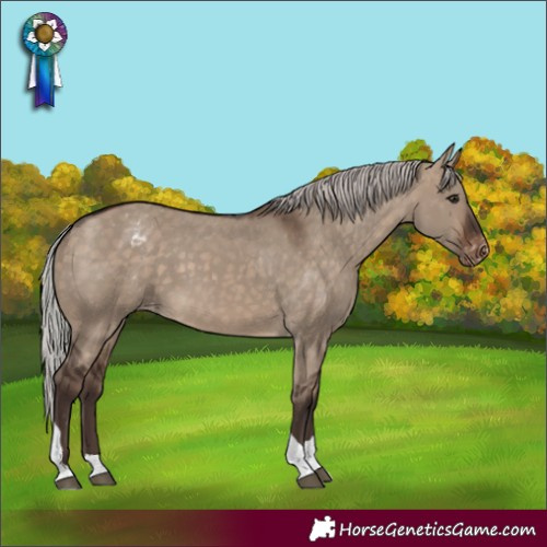 Horse Color:Silver Brown Dun Tobiano Appaloosa