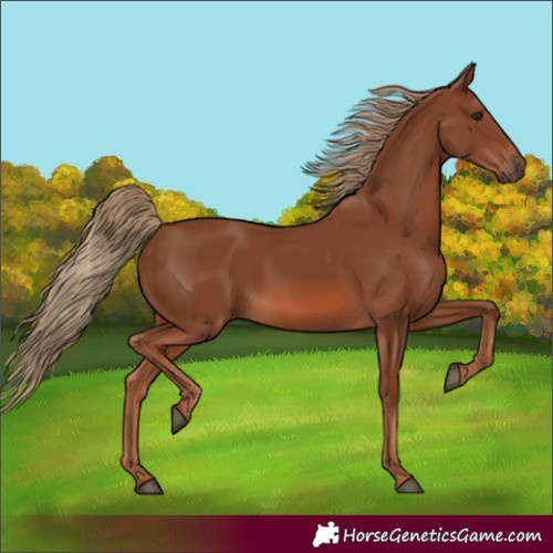 Horse Color:Unknown 