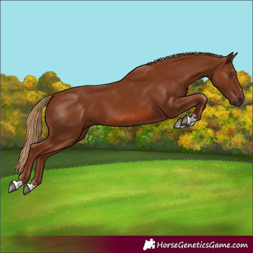 Horse Color:Unknown 