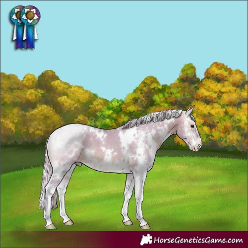 Horse Color:Watercolor White Spotted Silver Brown Dun Sabino 