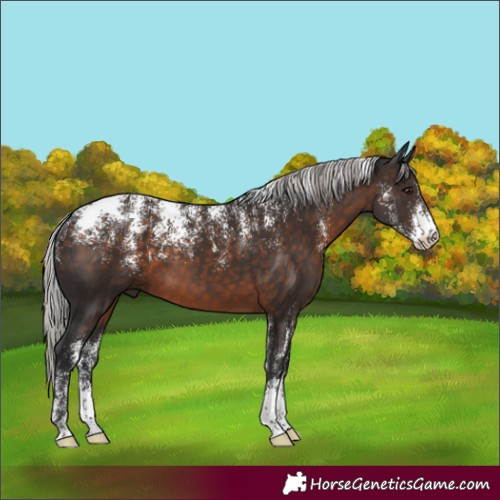 Horse Color:Powder White Silver Brown 