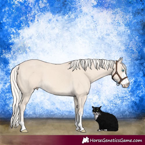 Horse Color:Cremello