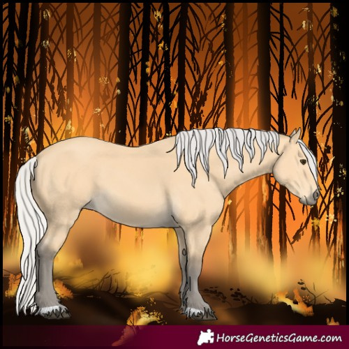 Horse Color:Silver Buckskin