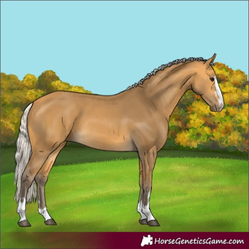 Horse Color:Silver Buckskin