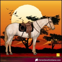 Horse Color:Red Roan