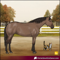 Horse Color:Liver Red Dun 