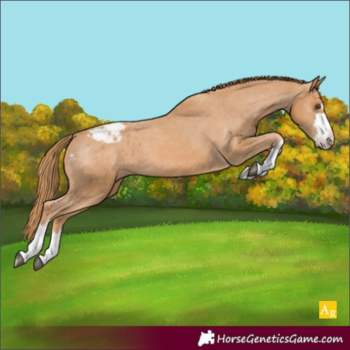 Horse Color:Unknown 