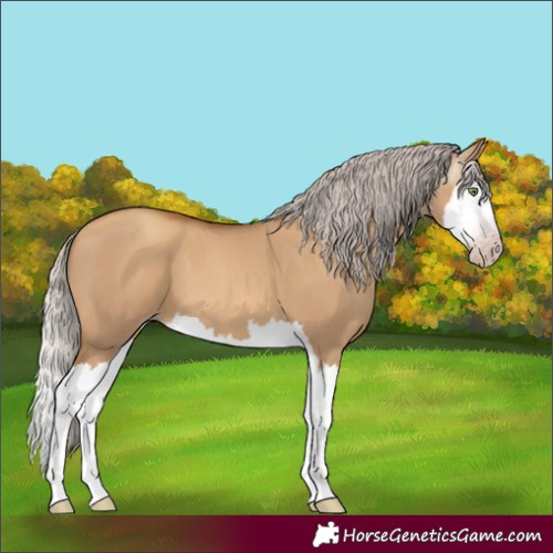 Horse Color:Gray Silver Amber Champagne Dun Splash