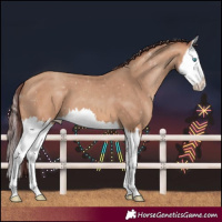 Horse Color:Chocolate Amber Champagne Splash 