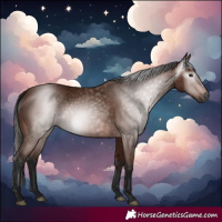 Horse Color:Gray Bay 