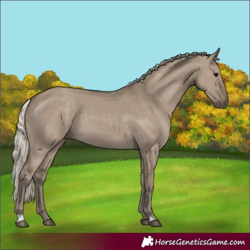 Horse Color:Silver Smoky Grullo