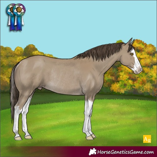 Horse Color:Classic Cream Champagne Splash Rabicano
