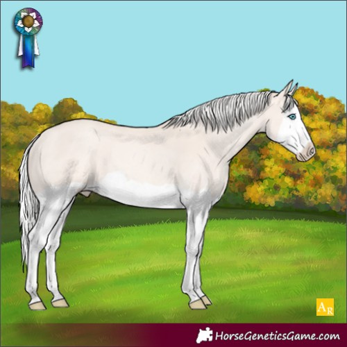 Horse Color:Silver Perlino Splash Rabicano 