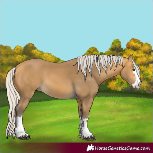 Horse Color:Silver Buckskin