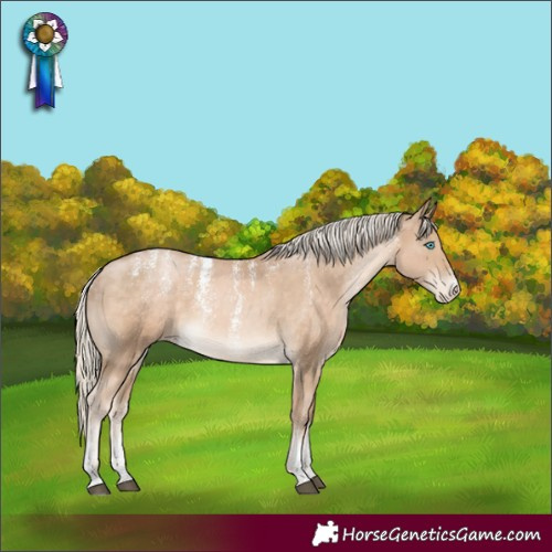 Horse Color:Powder White Chocolate Palomino Skewed LP Spotted