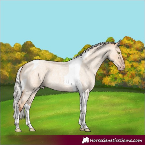 Horse Color:Silver Classic Champagne Roan Dun Tobiano 