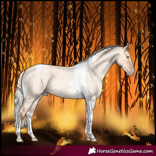Horse Color:Silver Classic Champagne Roan Dun Tobiano 