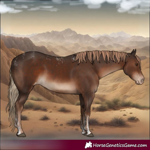 Horse Color:Powder White Liver Chestnut Varnish 