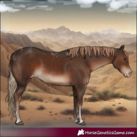 Horse Color:Powder White Liver Chestnut Varnish 