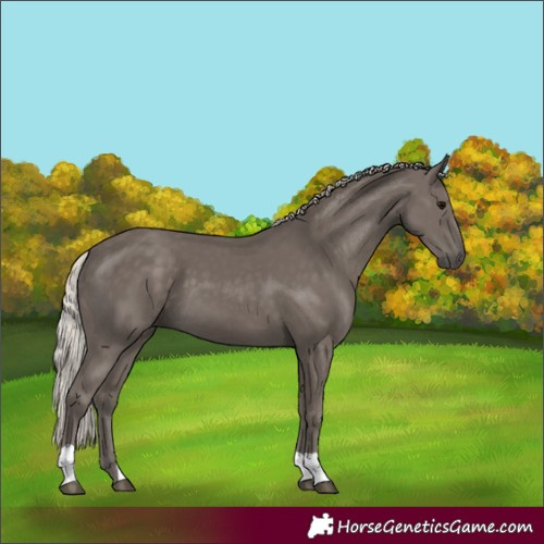 Horse Color:Silver Black 