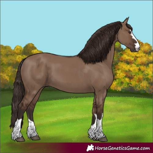 Horse Color:Liver Red Dun 