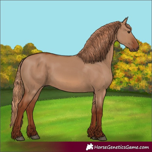 Horse Color:Red Dun