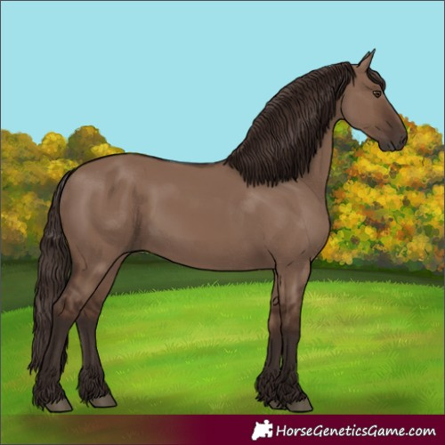 Horse Color:Liver Red Dun 