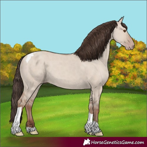 Horse Color:Classic Champagne Dun Tobiano