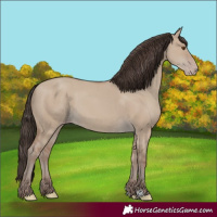 Horse Color:Classic Champagne Dun 
