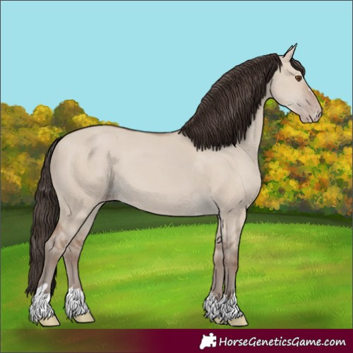 Horse Color:Classic Champagne Dun