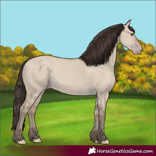 Horse Color:Classic Champagne Dun 