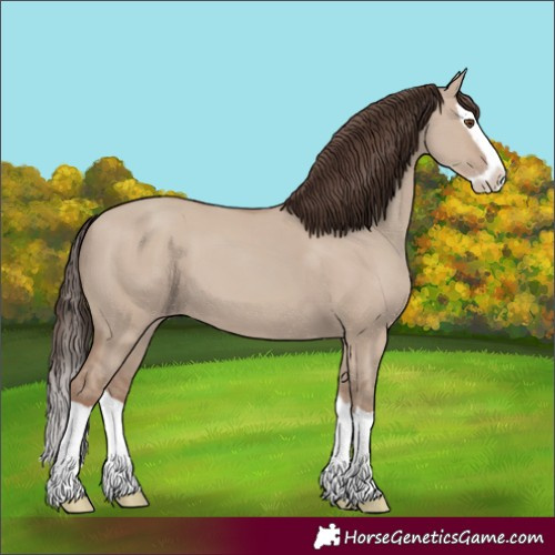 Horse Color:Classic Champagne Dun Splash
