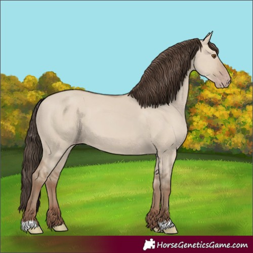 Horse Color:Classic Champagne Dun