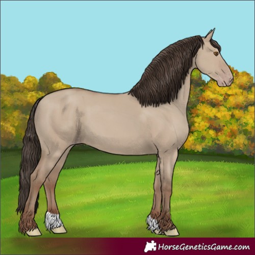 Horse Color:Classic Champagne Dun