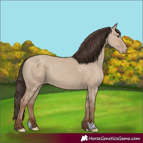 Horse Color:Classic Champagne Dun