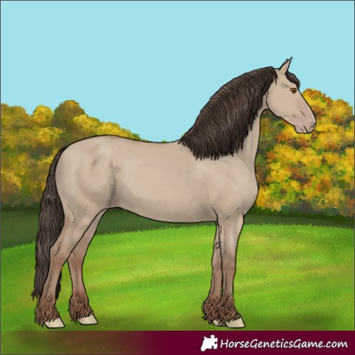 Horse Color:Classic Champagne Dun