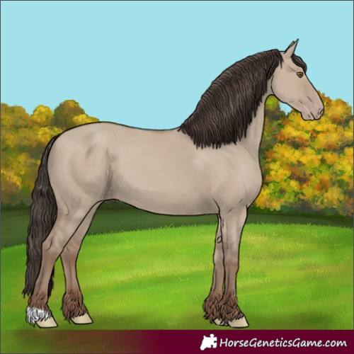 Horse Color:Classic Champagne Dun 