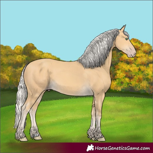 Horse Color:Silver Amber Cream Champagne