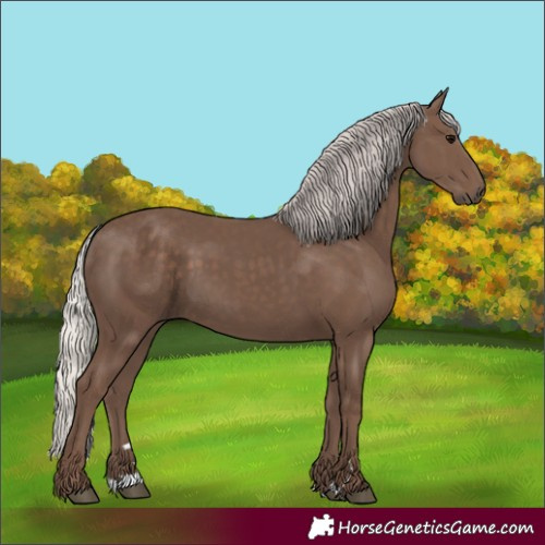 Horse Color:Silver Black 