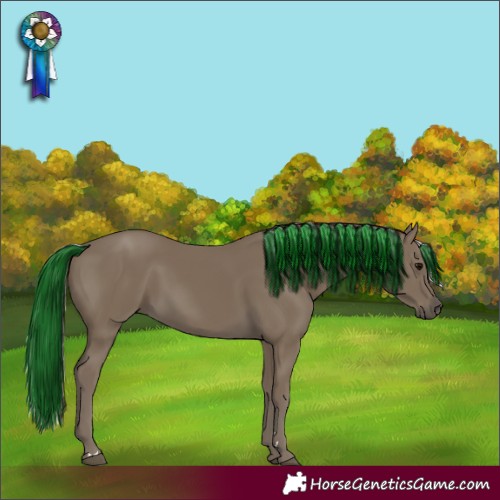 Horse Color:Silver Smoky Black