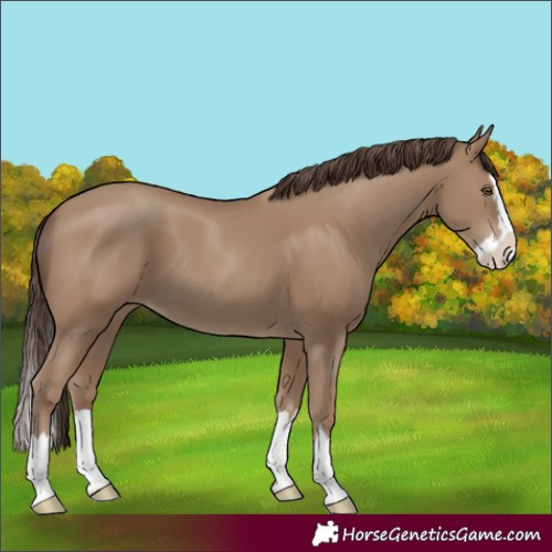 Horse Color:Classic Champagne Splash 