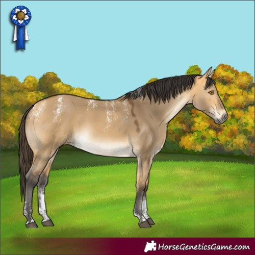 Horse Color:Powder White Buckskin Dun 