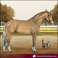 Horse Color:Silver Buckskin