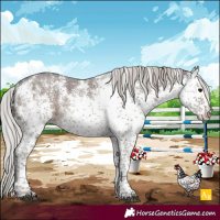 Horse Color:White Spotted Silver Black Mushroom