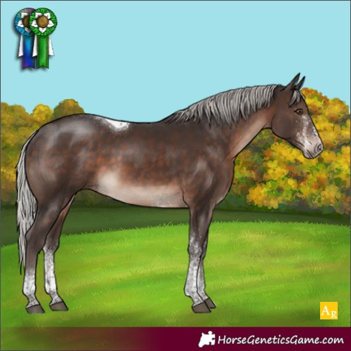 Horse Color:White Spotted Silver Brown Mushroom Tobiano 
