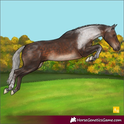 Horse Color:Silver Brown Tobiano 