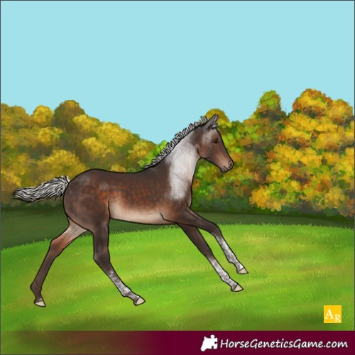 Horse Color:Silver Brown Tobiano